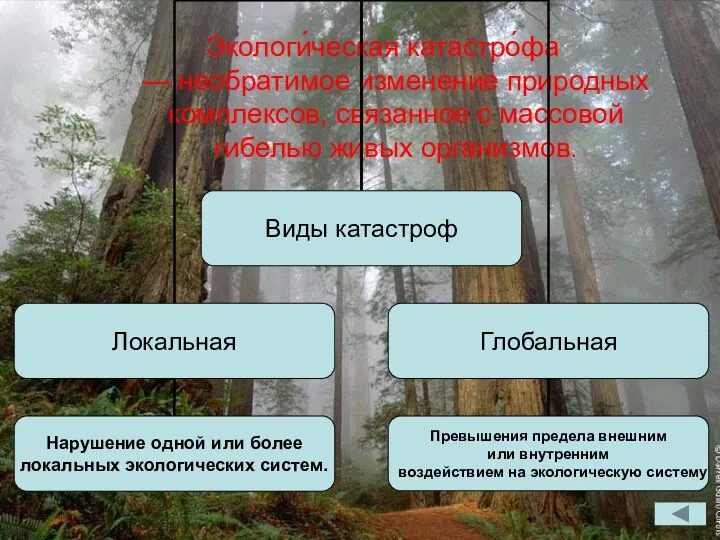 Экологи́ческая катастро́фа — необратимое изменение природных комплексов, связанное с массовой гибелью живых организмов.