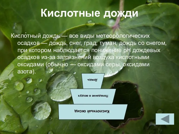 Кислотные дожди Кисло́тный дождь — все виды метеорологических осадков — дождь,