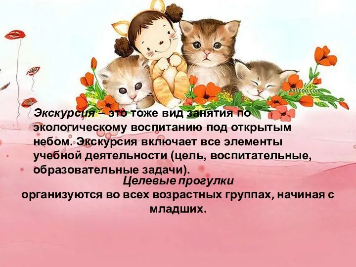 Экскурсия – это тоже вид занятия по экологическому воспитанию под открытым