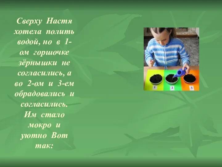Сверху Настя хотела полить водой, но в 1-ом горшочке зёрнышки не