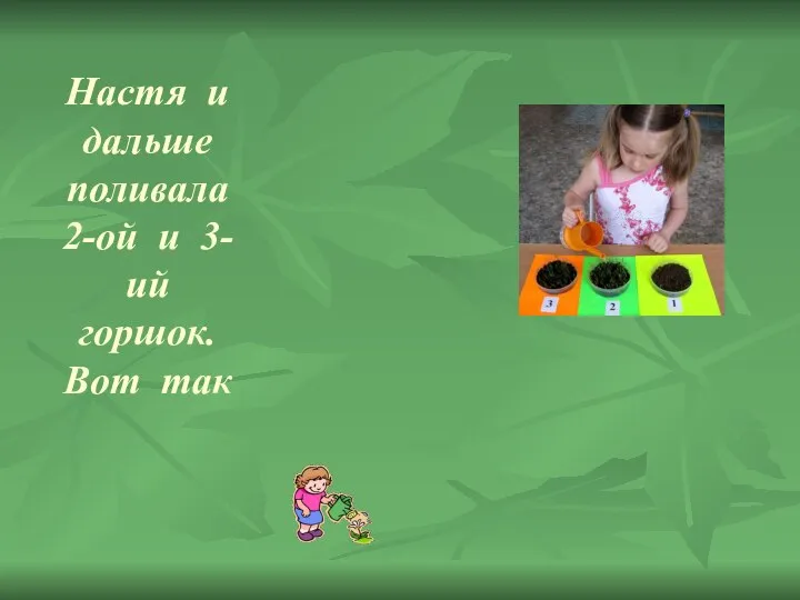 Настя и дальше поливала 2-ой и 3-ий горшок. Вот так