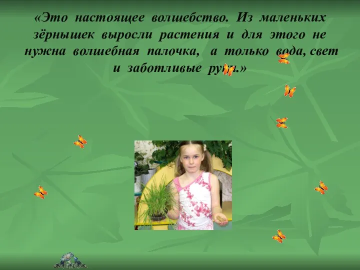 «Это настоящее волшебство. Из маленьких зёрнышек выросли растения и для этого