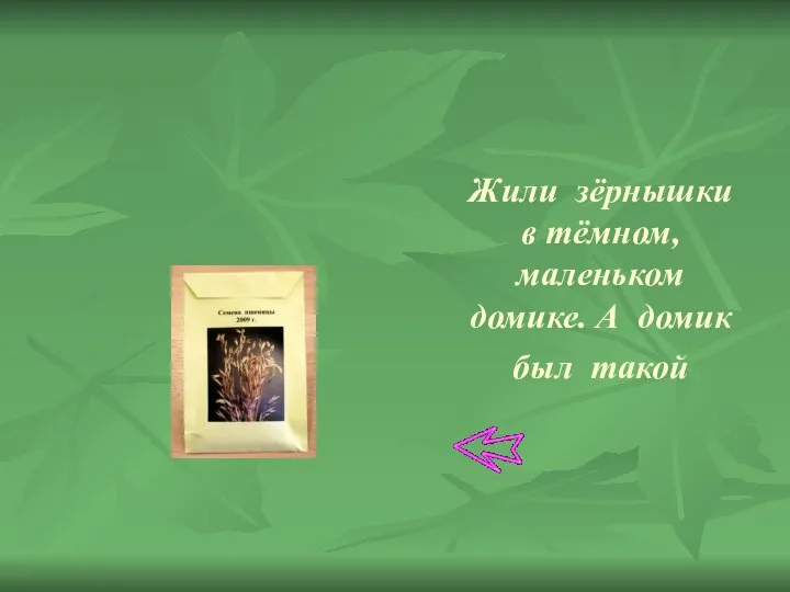 Жили зёрнышки в тёмном, маленьком домике. А домик был такой