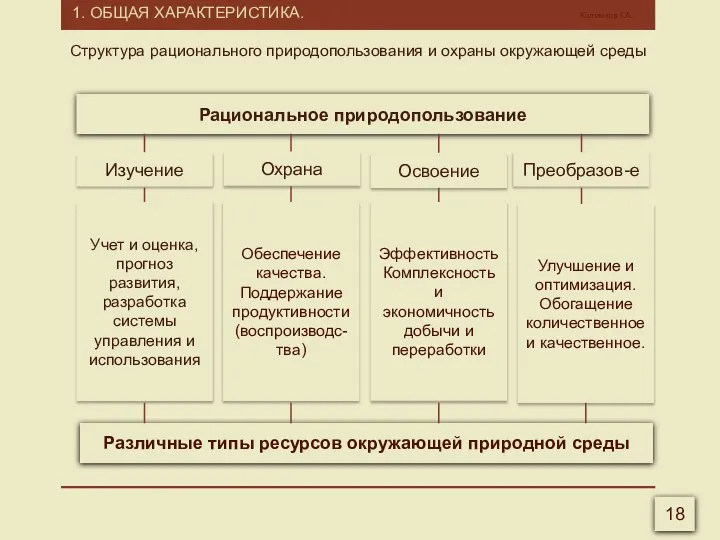 1. ОБЩАЯ ХАРАКТЕРИСТИКА. Калмыков Г.А. 18 Структура рационального природопользования и охраны