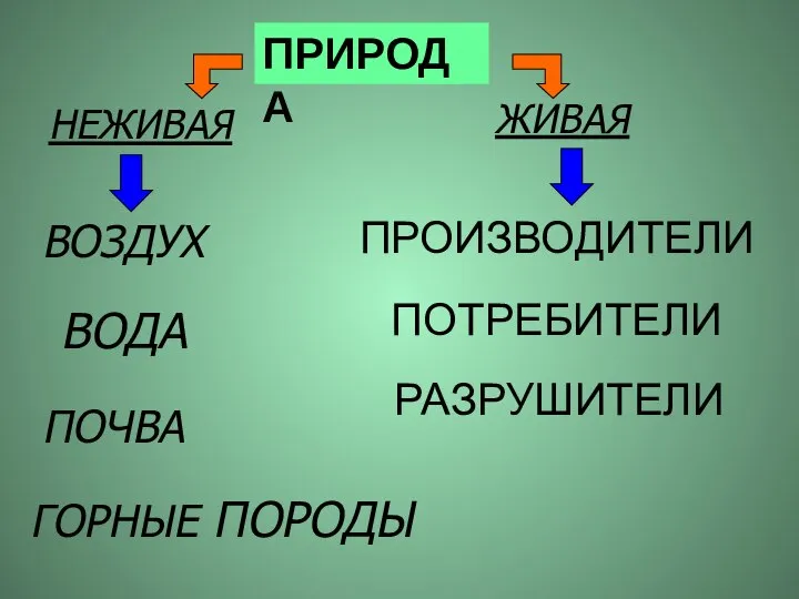 ПРОИЗВОДИТЕЛИ ПОТРЕБИТЕЛИ РАЗРУШИТЕЛИ ВОЗДУХ ВОДА ГОРНЫЕ ПОРОДЫ ПОЧВА ПРИРОДА НЕЖИВАЯ ЖИВАЯ