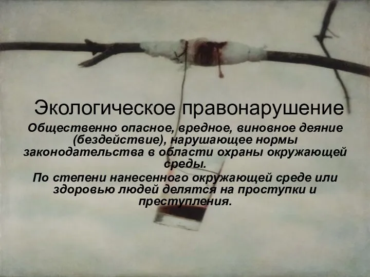 Экологическое правонарушение Общественно опасное, вредное, виновное деяние (бездействие), нарушающее нормы законодательства