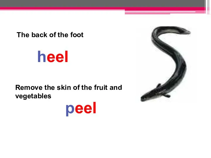 The back of the foot Remove the skin of the fruit and vegetables heel peel