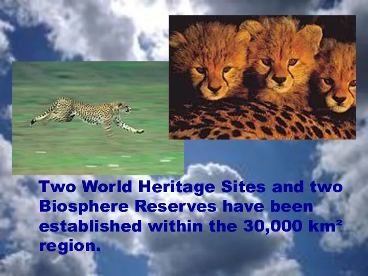 Two World Heritage Sites and two Biosphere Reserves have been established within the 30,000 km² region.