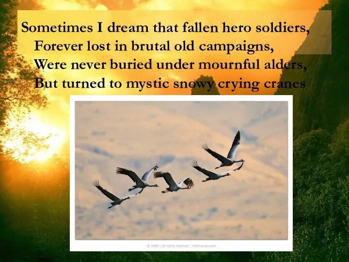 Sometimes I dream that fallen hero soldiers, Forever lost in brutal