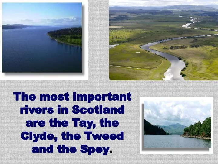 The most important rivers in Scotland are the Tay, the Clyde, the Tweed and the Spey.