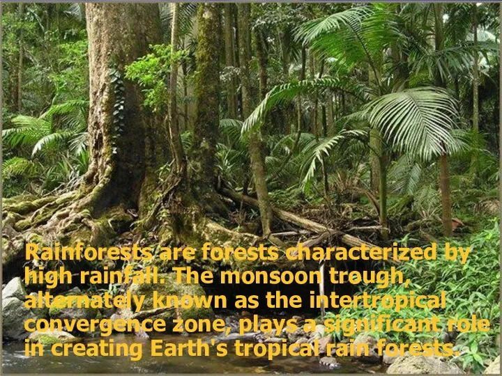 Rainforests are forests characterized by high rainfall. The monsoon trough, alternately