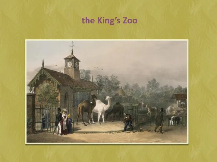 the King’s Zoo