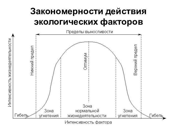 Закономерности действия экологических факторов