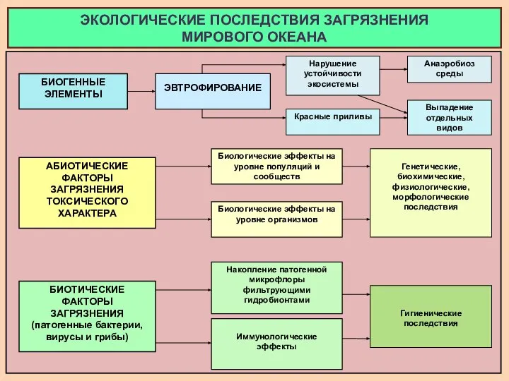 ЭКОЛОГИЧЕСКИЕ ПОСЛЕДСТВИЯ ЗАГРЯЗНЕНИЯ МИРОВОГО ОКЕАНА