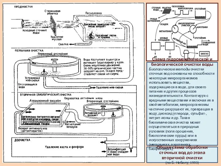 Общая схема обработки сточных вод до этапа вторичной очистки (по Б.
