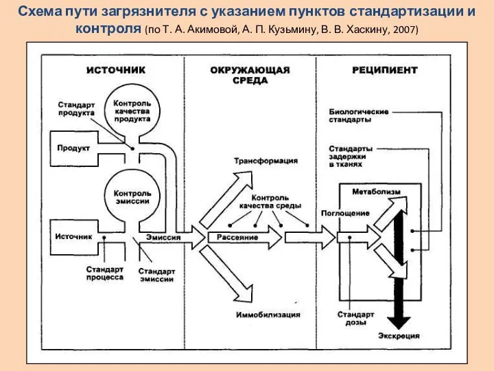 Схема пути загрязнителя с указанием пунктов стандартизации и контроля (по Т.