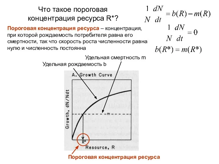 Что такое пороговая концентрация ресурса R*? Удельная рождаемость b Пороговая концентрация