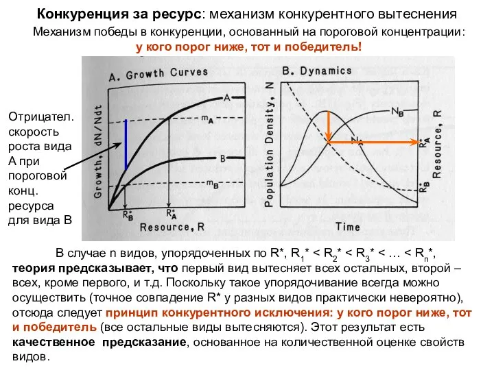 Механизм победы в конкуренции, основанный на пороговой концентрации: у кого порог
