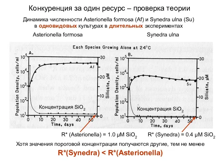 Динамика численности Asterionella formosa (Af) и Synedra ulna (Su) в одновидовых
