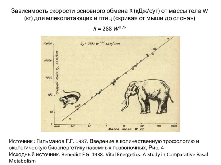 Зависимость скорости основного обмена R (кДж/сут) от массы тела W (кг)