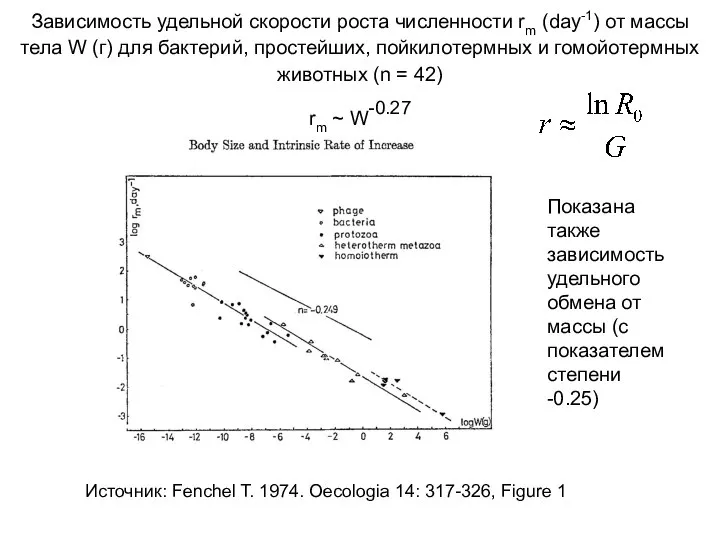 Зависимость удельной скорости роста численности rm (day-1) от массы тела W