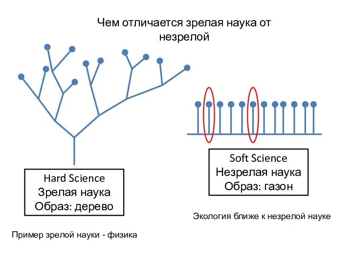 Hard Science Зрелая наука Образ: дерево Soft Science Незрелая наука Образ: