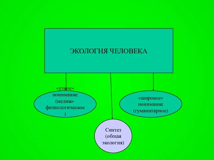 «широкое» понимание (гуманитарное) «узкое» понимание (медико-физиологическое) ЭКОЛОГИЯ ЧЕЛОВЕКА Синтез (общая экология)