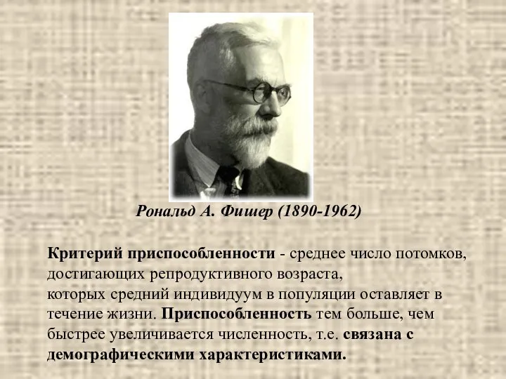 Рональд А. Фишер (1890-1962) Критерий приспособленности - среднее число потомков, достигающих