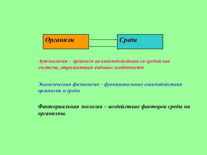 Среда Организм Аутэкология – организм во взаимодействии со средой как система,