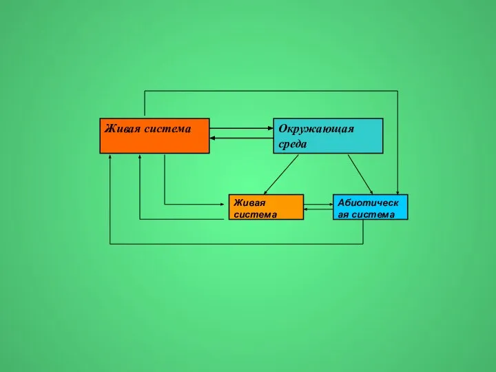 Окружающая среда Живая система Живая система Абиотическая система