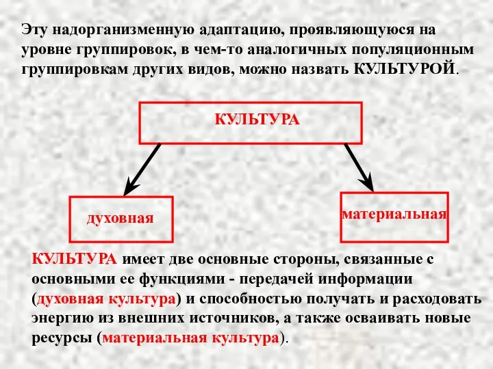 Эту надорганизменную адаптацию, проявляющуюся на уровне группировок, в чем-то аналогичных популяционным