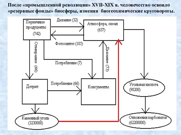 После «промышленной революции» XVII-XIX в. человечество освоило «резервные фонды» биосферы, изменяя биогеохимические круговороты.