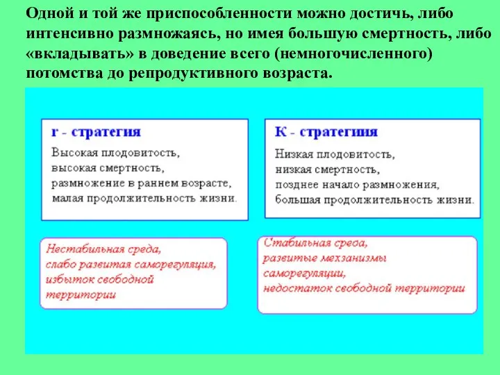 Одной и той же приспособленности можно достичь, либо интенсивно размножаясь, но