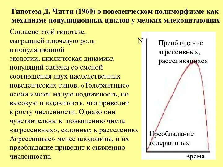 N время Преобладание толерантных Преобладание агрессивных, расселяющихся Гипотеза Д. Читти (1960)