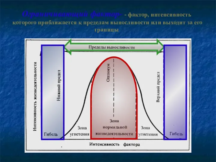 Ограничивающий фактор- - фактор, интенсивность которого приближается к пределам выносливости или выходит за его границы