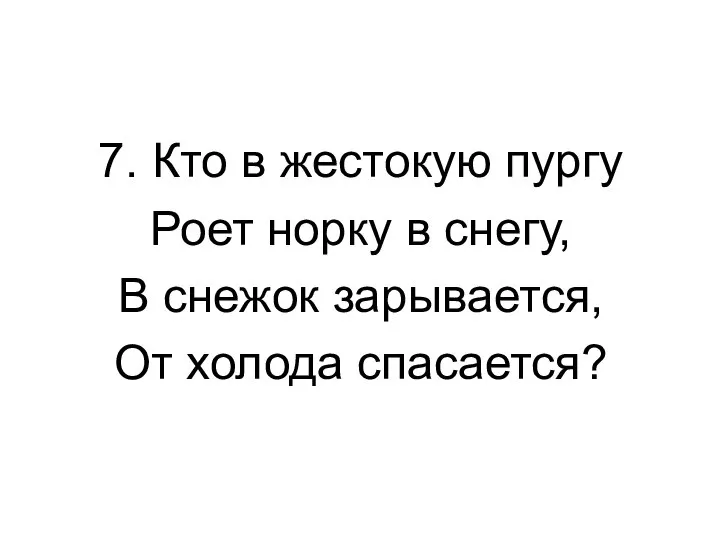 7. Кто в жестокую пургу Роет норку в снегу, В снежок зарывается, От холода спасается?