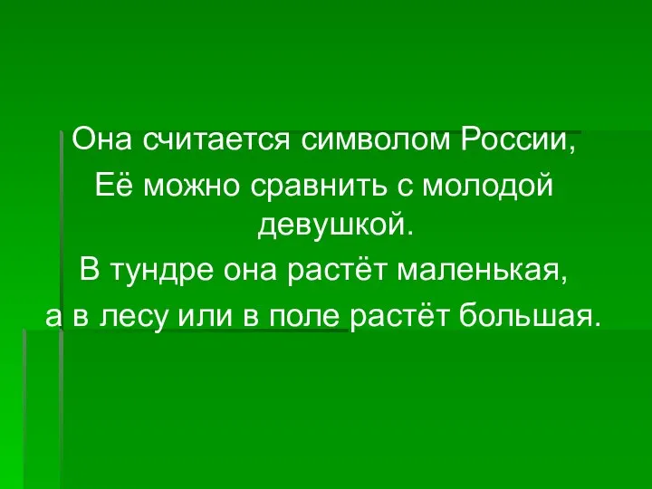 Она считается символом России, Её можно сравнить с молодой девушкой. В