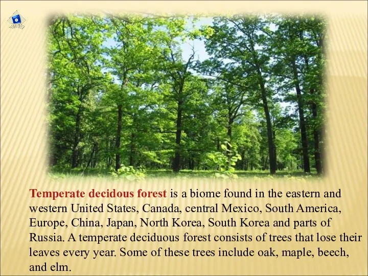 Temperate decidous forest is a biome found in the eastern and