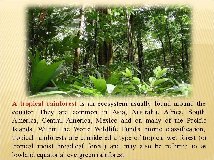 A tropical rainforest is an ecosystem usually found around the equator.