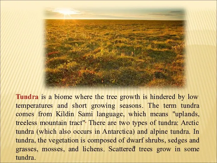 Tundra is a biome where the tree growth is hindered by