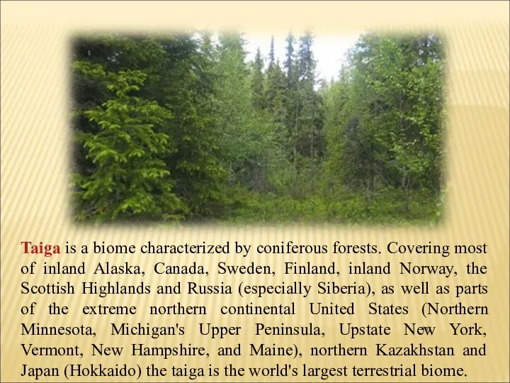 Taiga is a biome characterized by coniferous forests. Covering most of