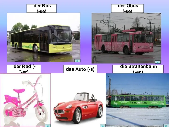 der Obus (-se) die Straßenbahn (-en) der Bus (-se) der Rad (-¨-er) das Auto (-s)