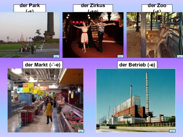 der Park (-s) der Markt (-¨-e) der Betrieb (-e) der Zirkus (-se) der Zoo (-s)