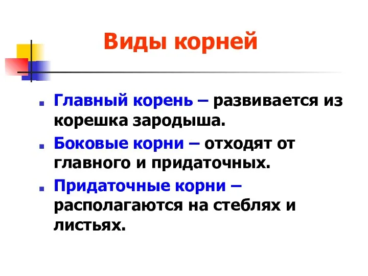 Виды корней Главный корень – развивается из корешка зародыша. Боковые корни