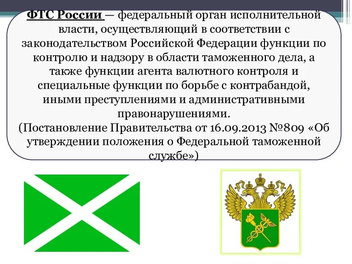 ФТС России — федеральный орган исполнительной власти, осуществляющий в соответствии с