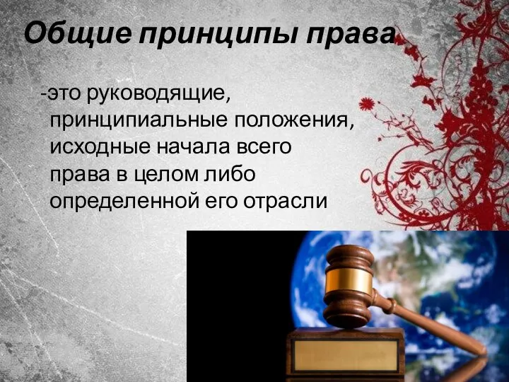 Общие принципы права -это руководящие, принципиальные положения, исходные начала всего права