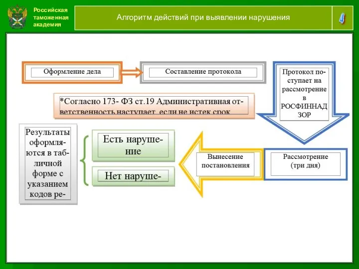 Российская таможенная академия ние 4 Алгоритм действий при выявлении нарушения ние