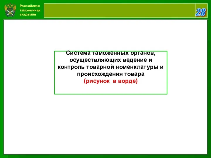 Российская таможенная академия 28 Система таможенных органов, осуществляющих ведение и контроль