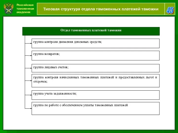 Российская таможенная академия 45 Типовая структура отдела таможенных платежей таможни