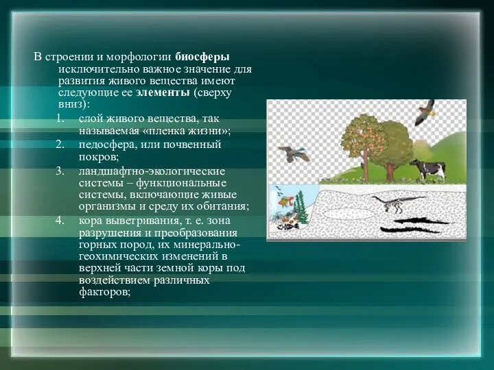 В строении и морфологии биосферы исключительно важное значение для развития живого